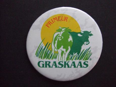 Graskaas primeur koeien in de wei